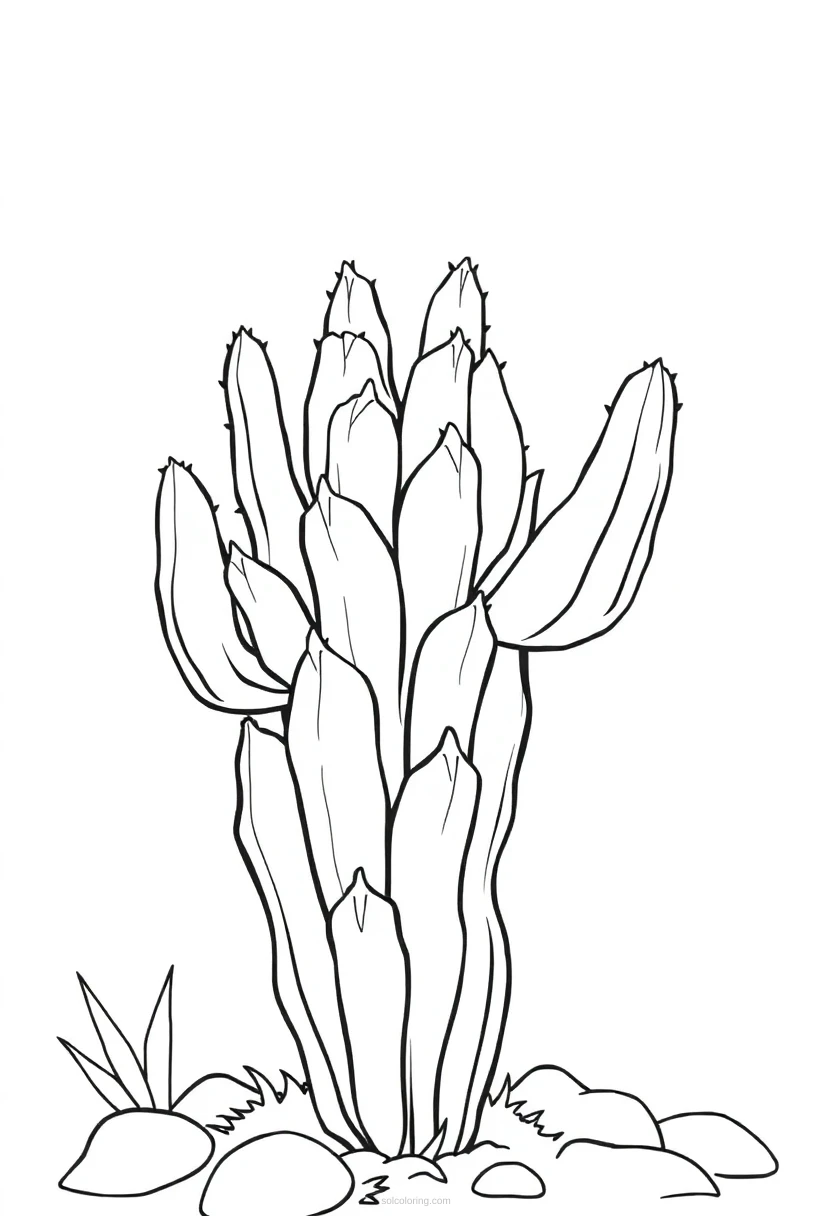 Cactus coloring page for kids