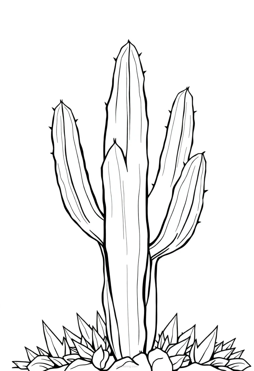 Cactus coloring page for kids
