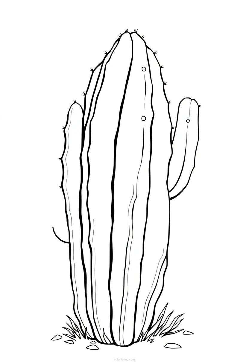 Cactus coloring page for kids