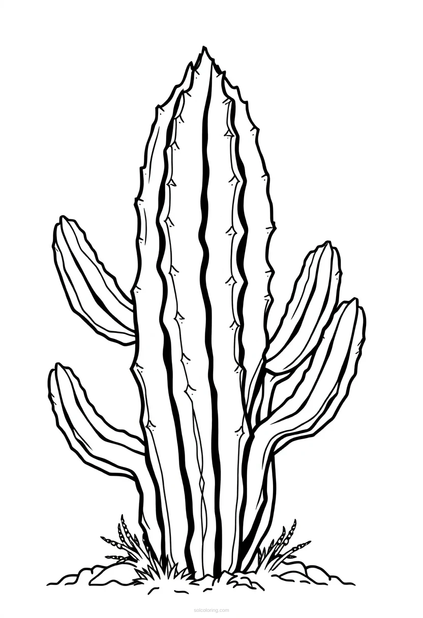 Cactus coloring page for kids