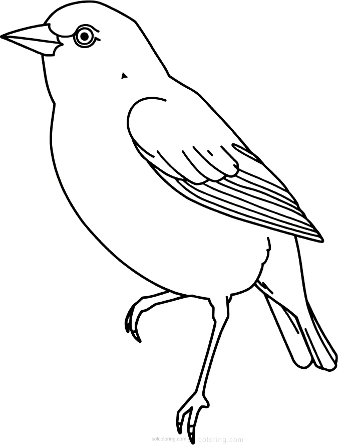 Canary coloring page for kids
