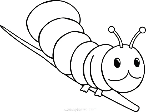 Caterpillar coloring page for kids