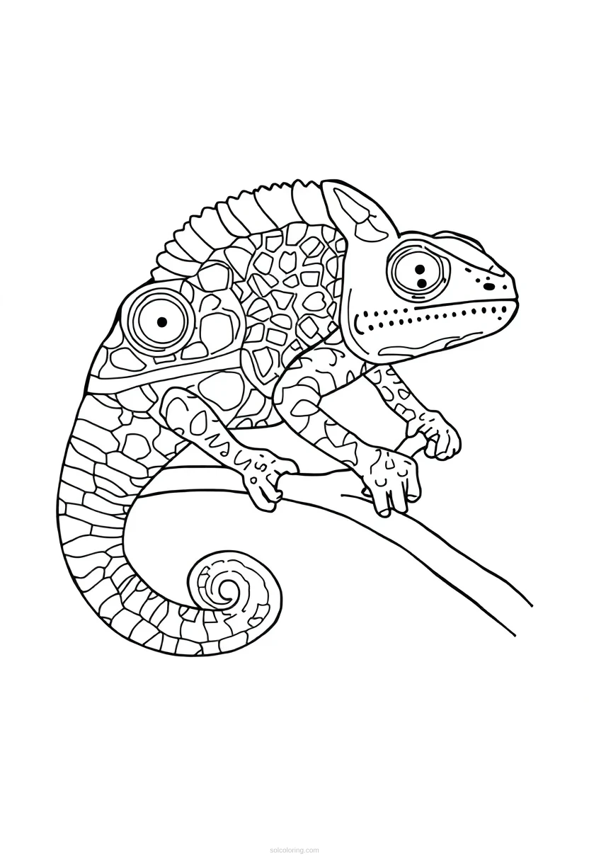 Chameleon coloring page for kids