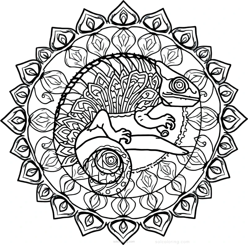 Chameleon coloring page for kids