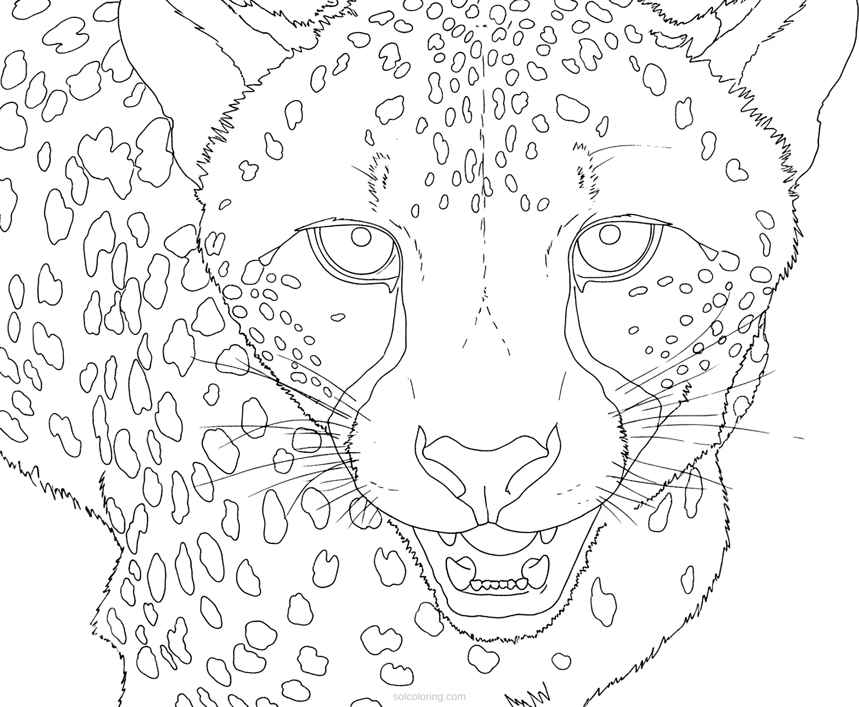 Cheetah coloring page for kids