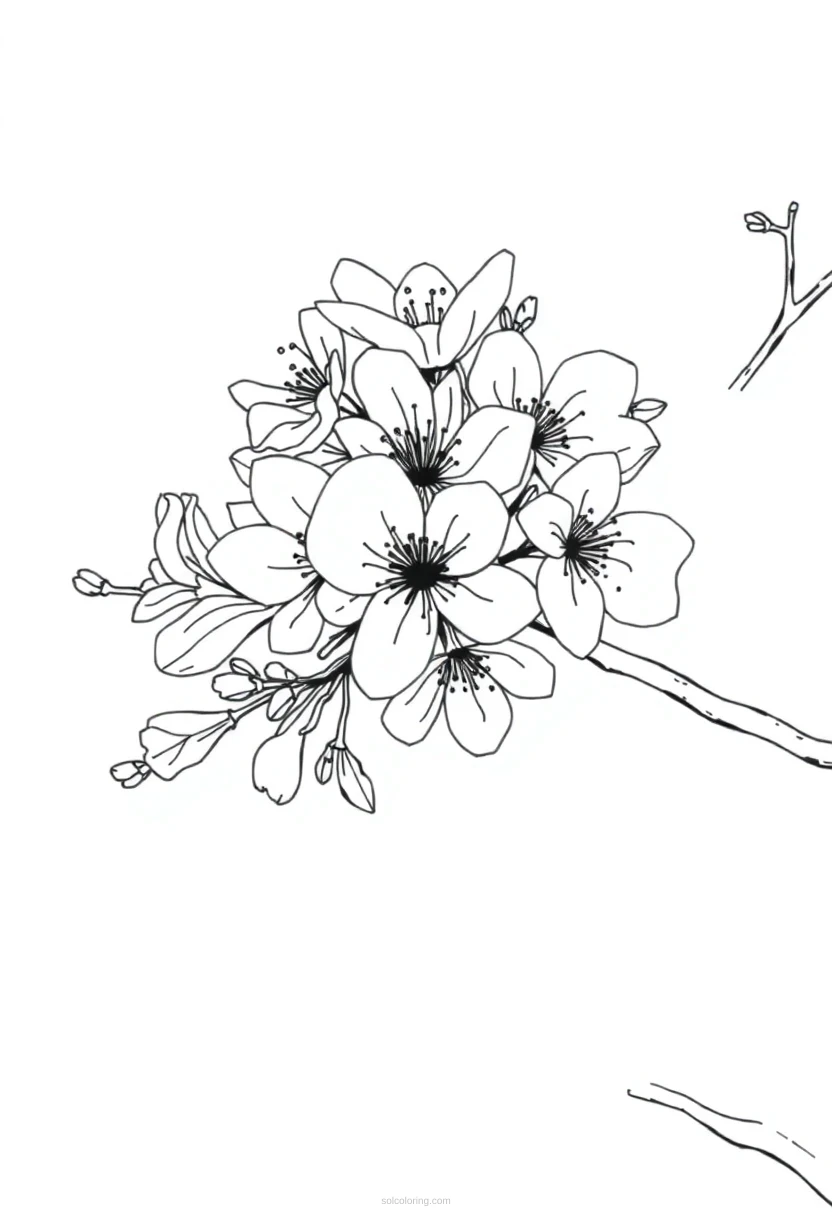 Cherry Blossom Chibi coloring pages