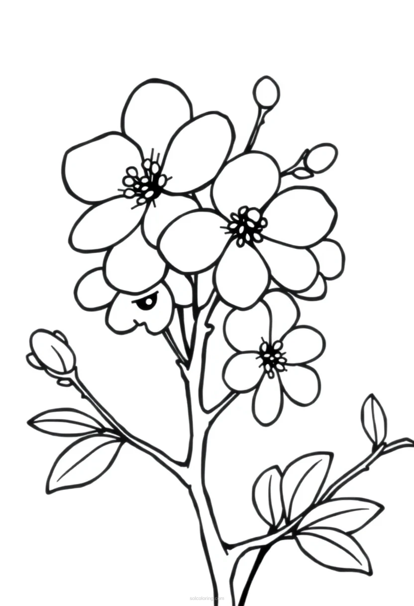 Cherry Blossom coloring page for kids