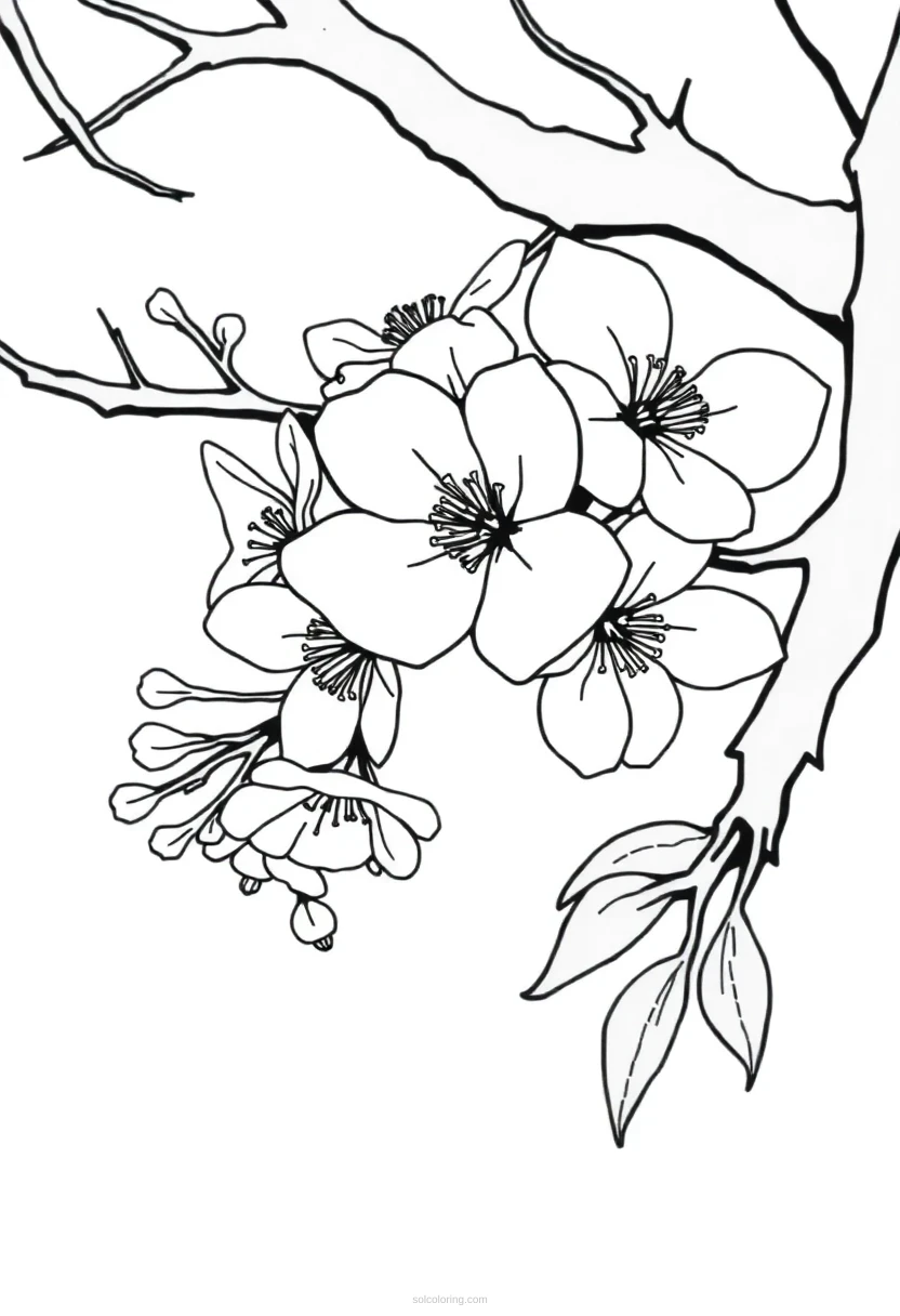 Cherry Blossom Simple coloring pages