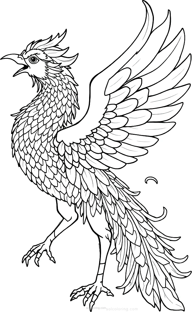 Chinese Phoenix coloring page for kids