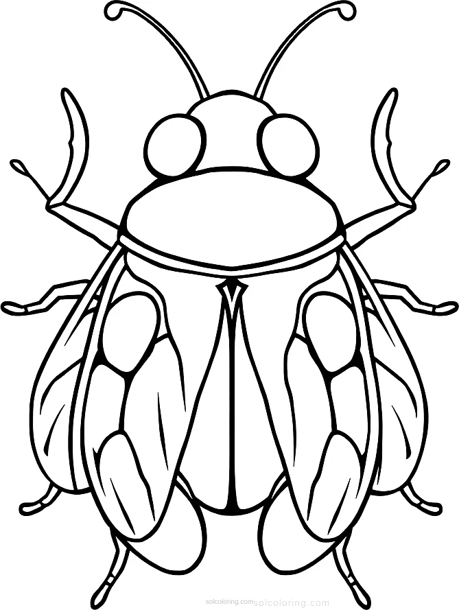 Cicada coloring page for kids