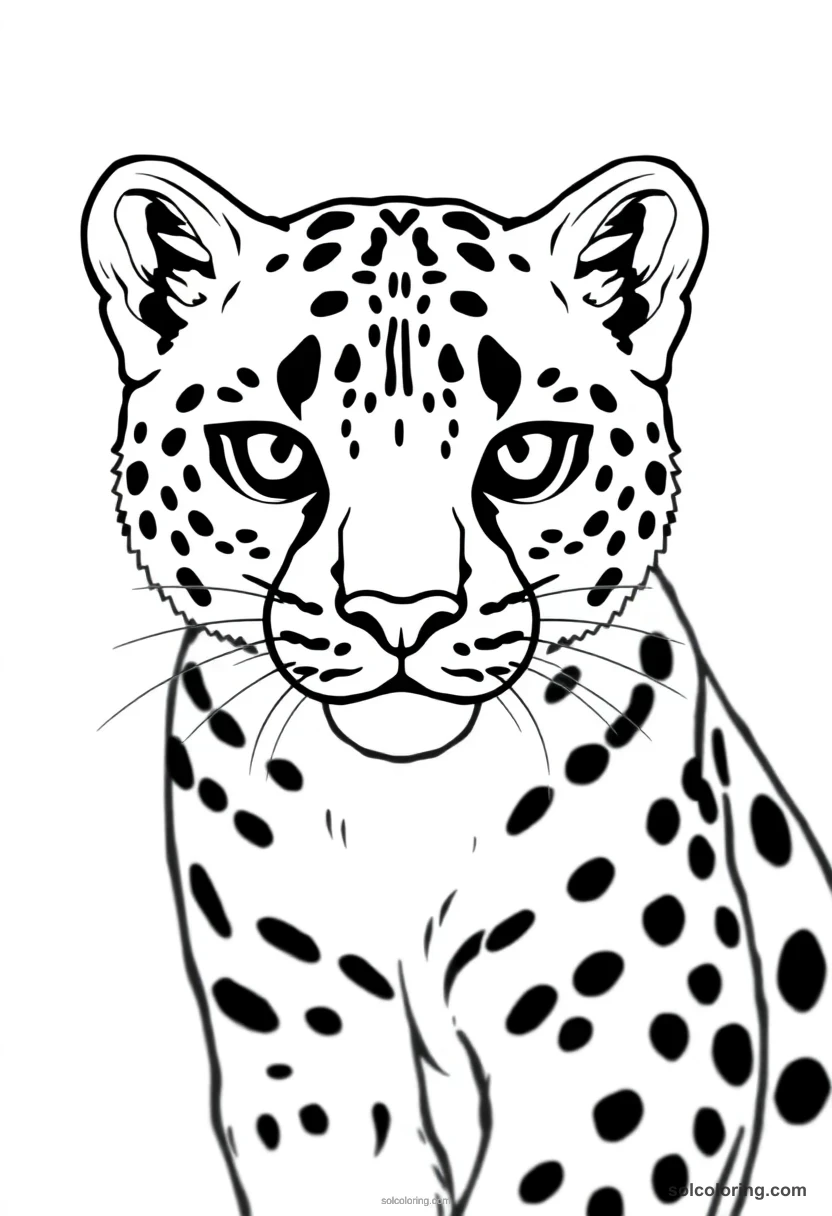 Clouded Leopard coloring pages