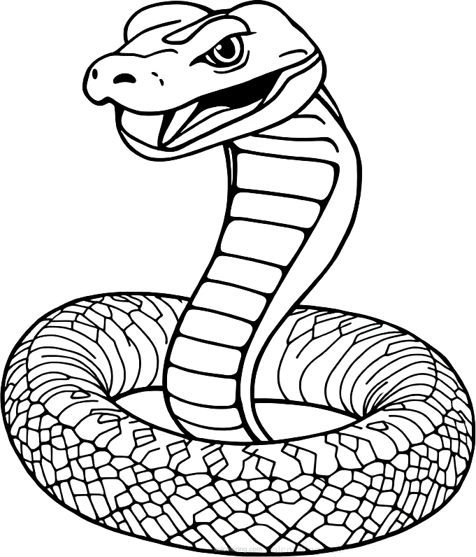Cobra coloring page for kids