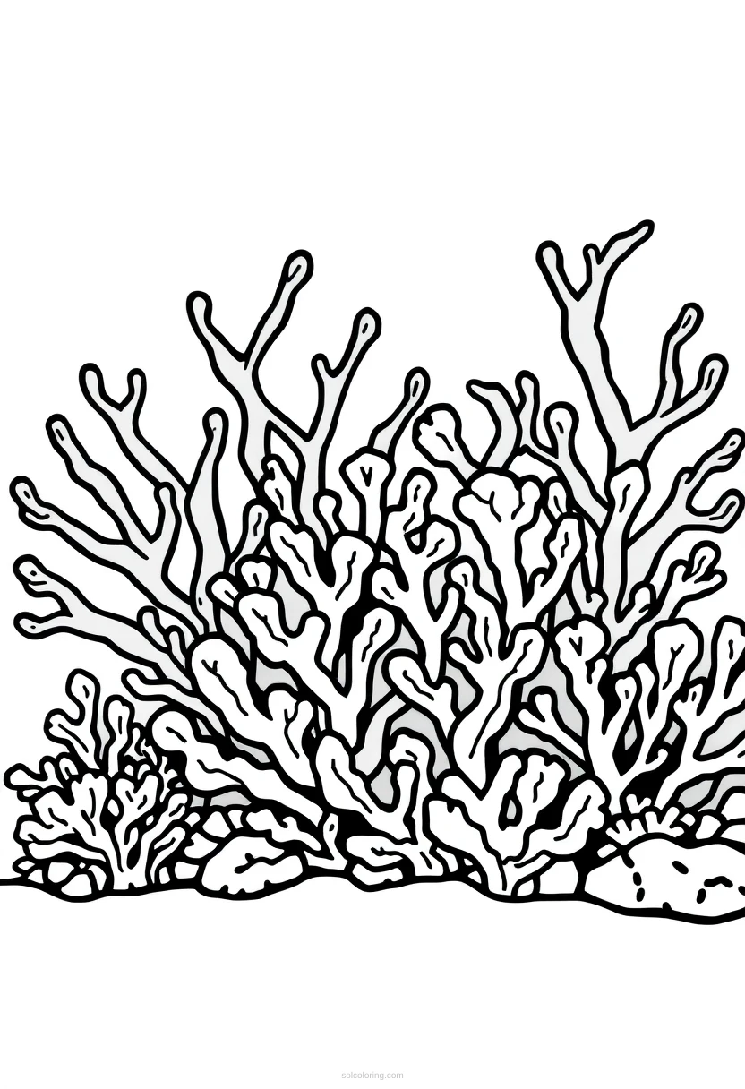 Coral Reef coloring page for kids