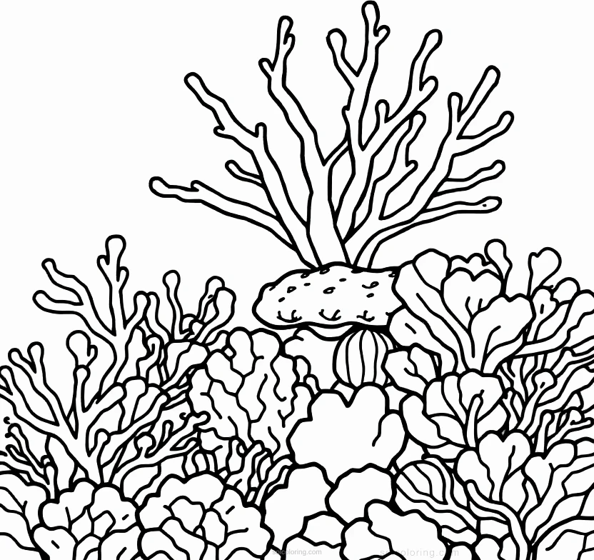 Coral Reef coloring page for kids