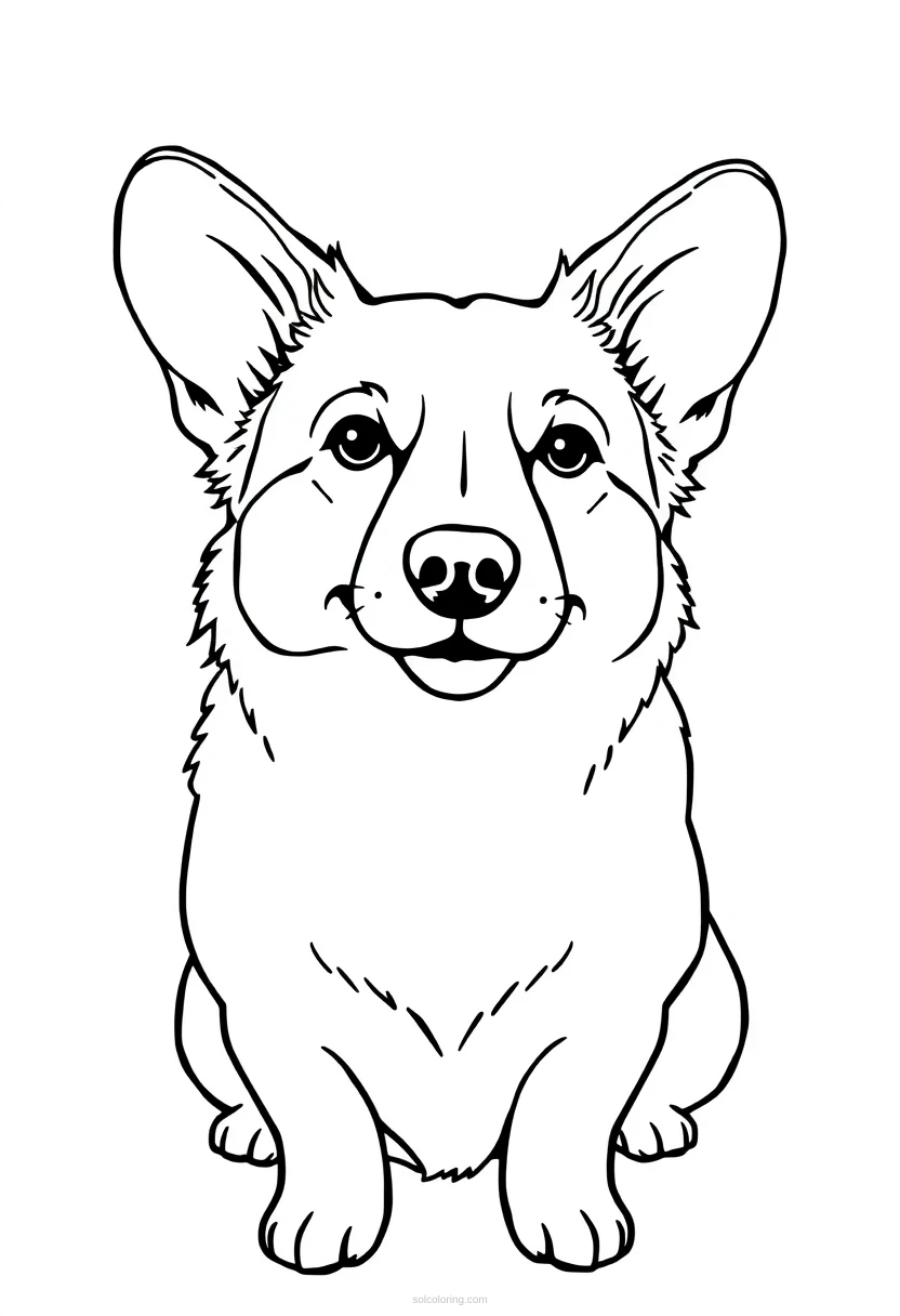 Corgi coloring page for kids