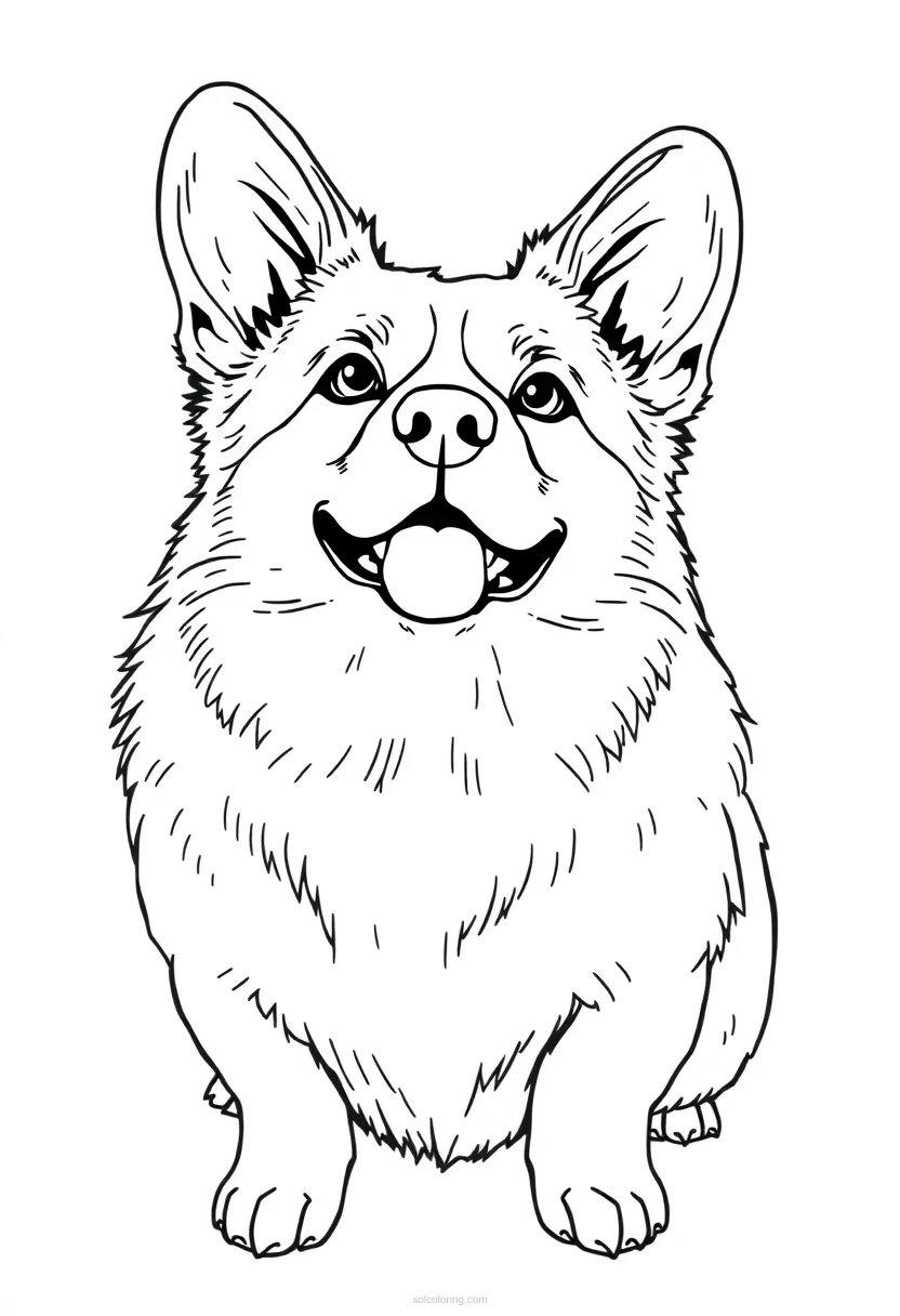 Corgi coloring page for kids