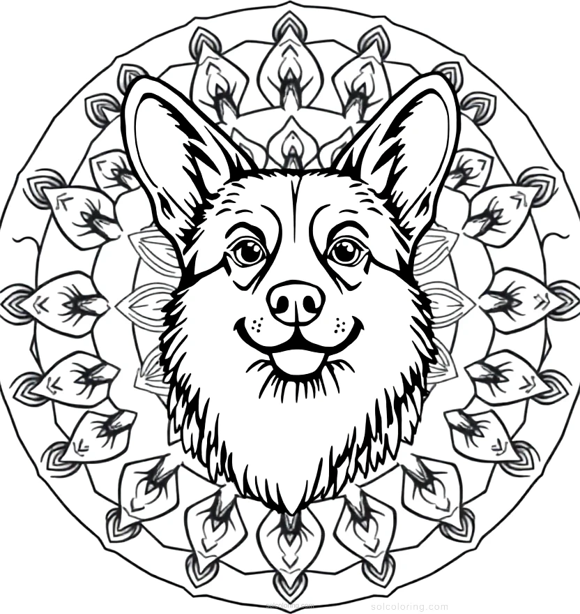 Corgi coloring page for kids