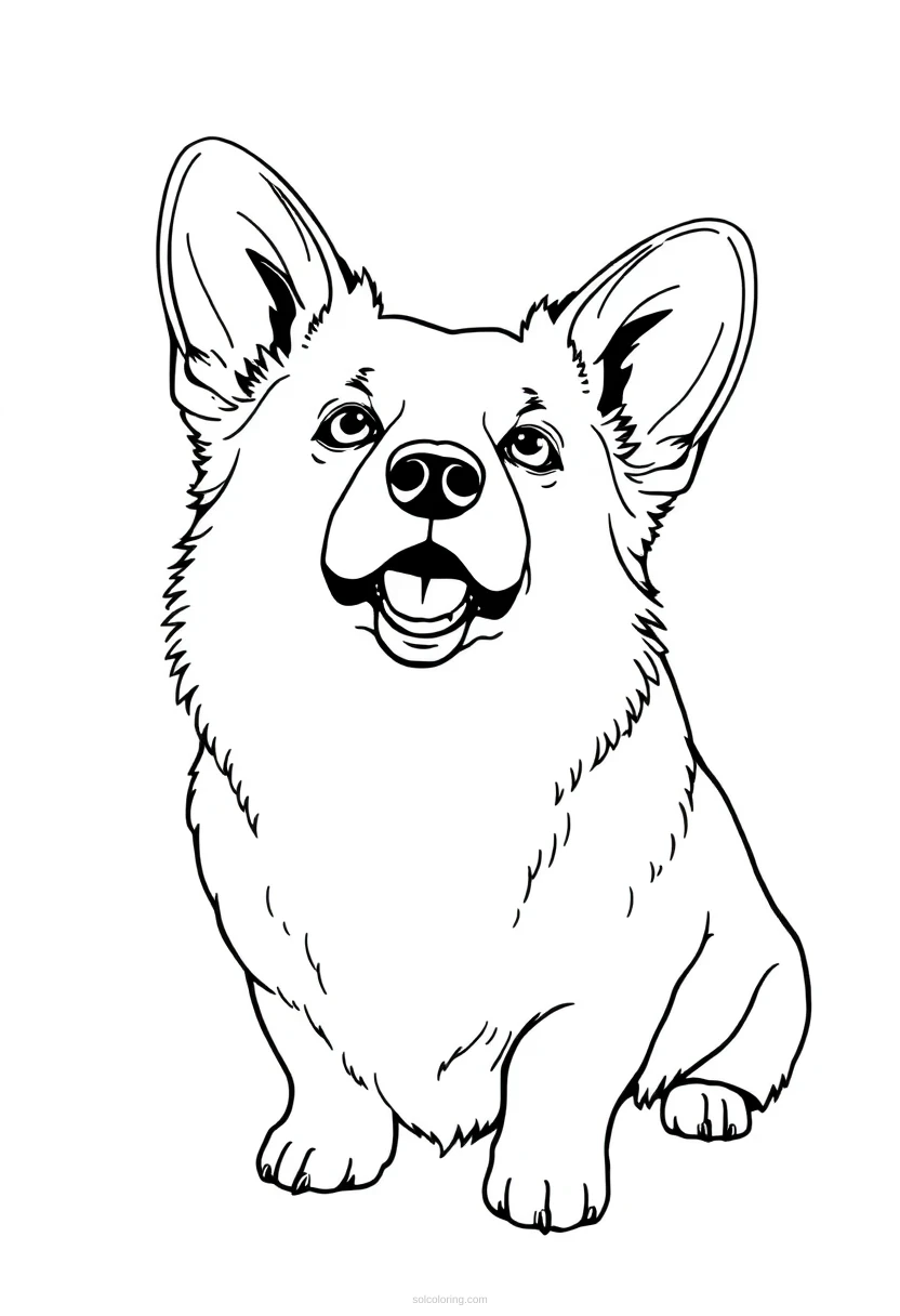 Corgi coloring page for kids