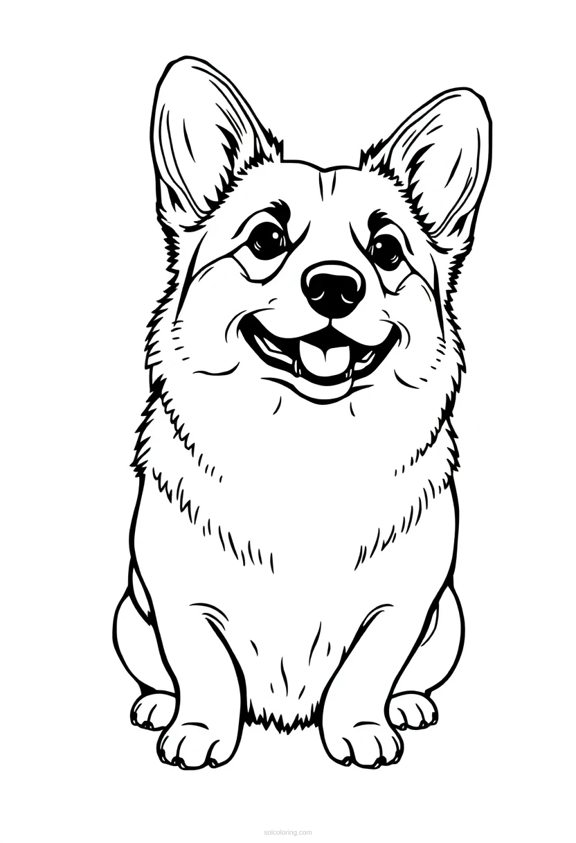 Corgi Simple coloring page for kids