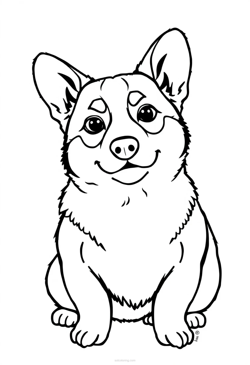 Corgi coloring page for kids