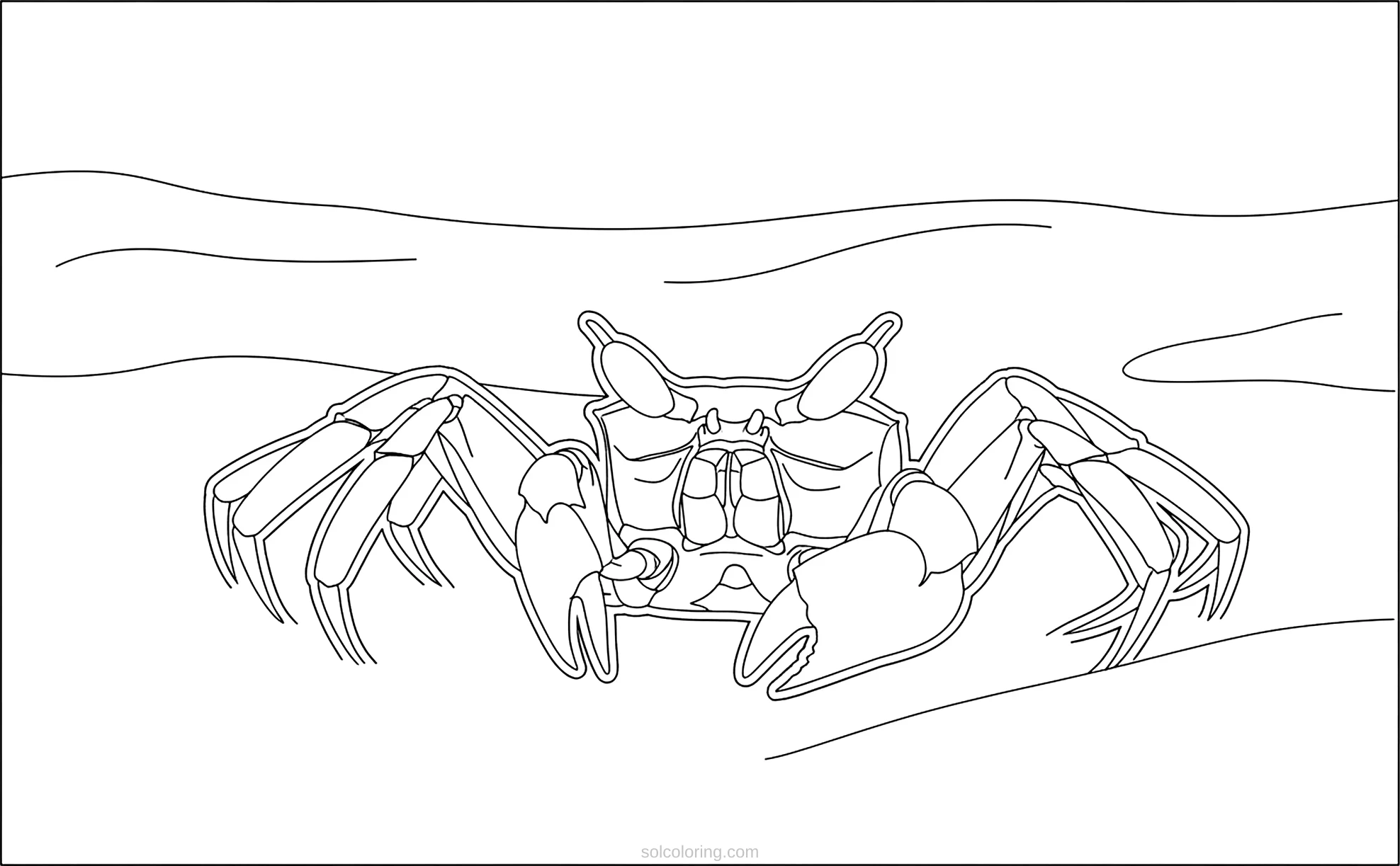 Crab coloring page for kids