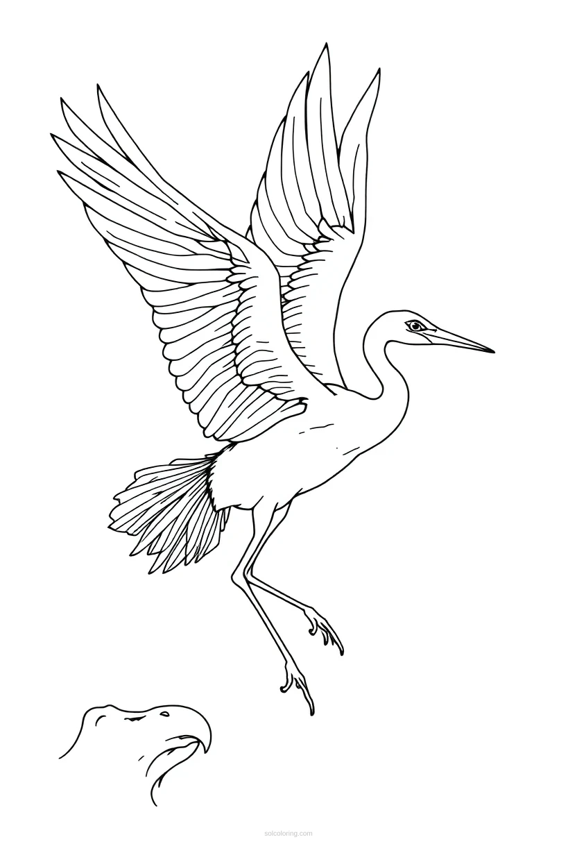 Crane Bird in Flight coloring page for kids