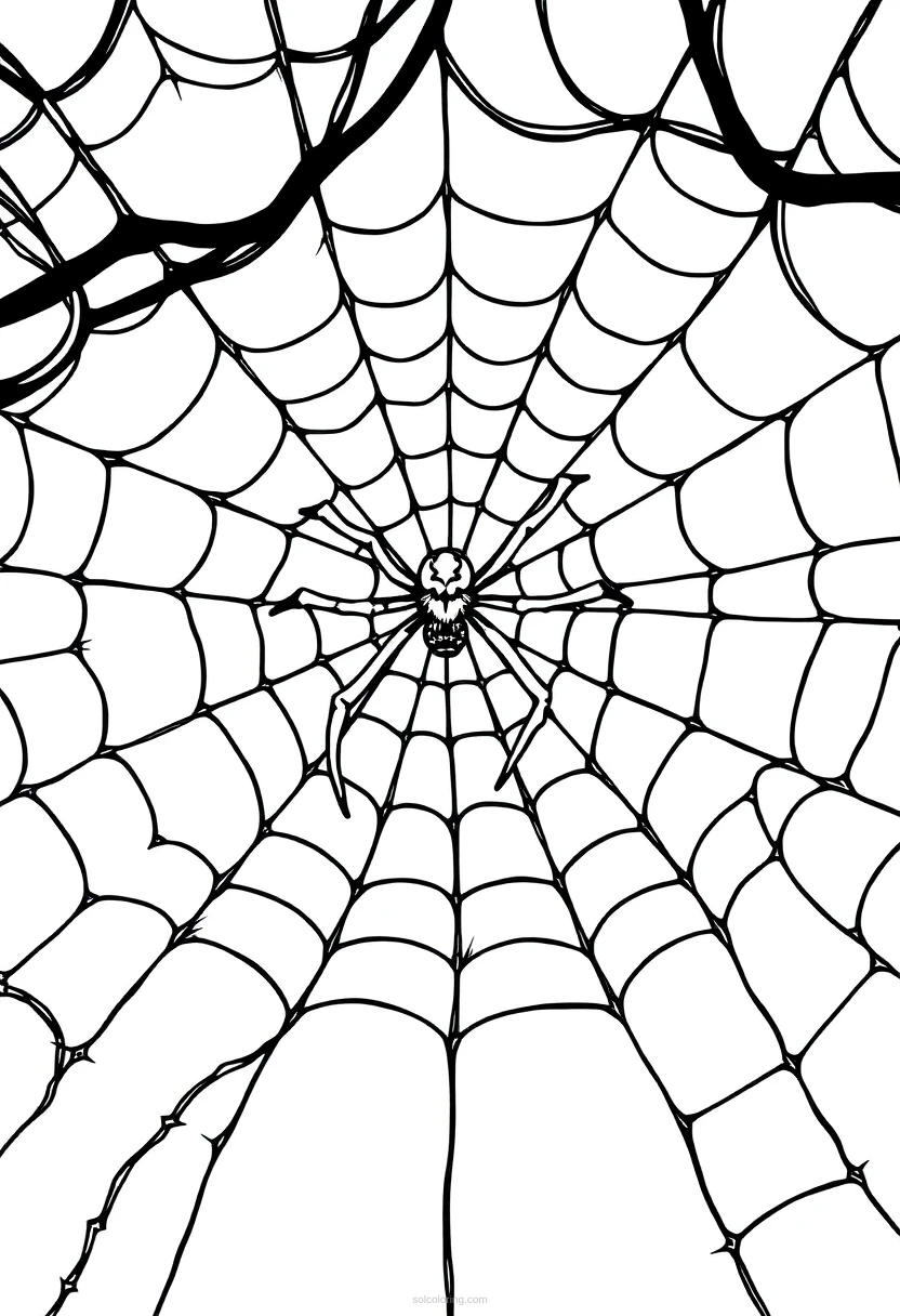 Creepy Spider Web coloring page for kids