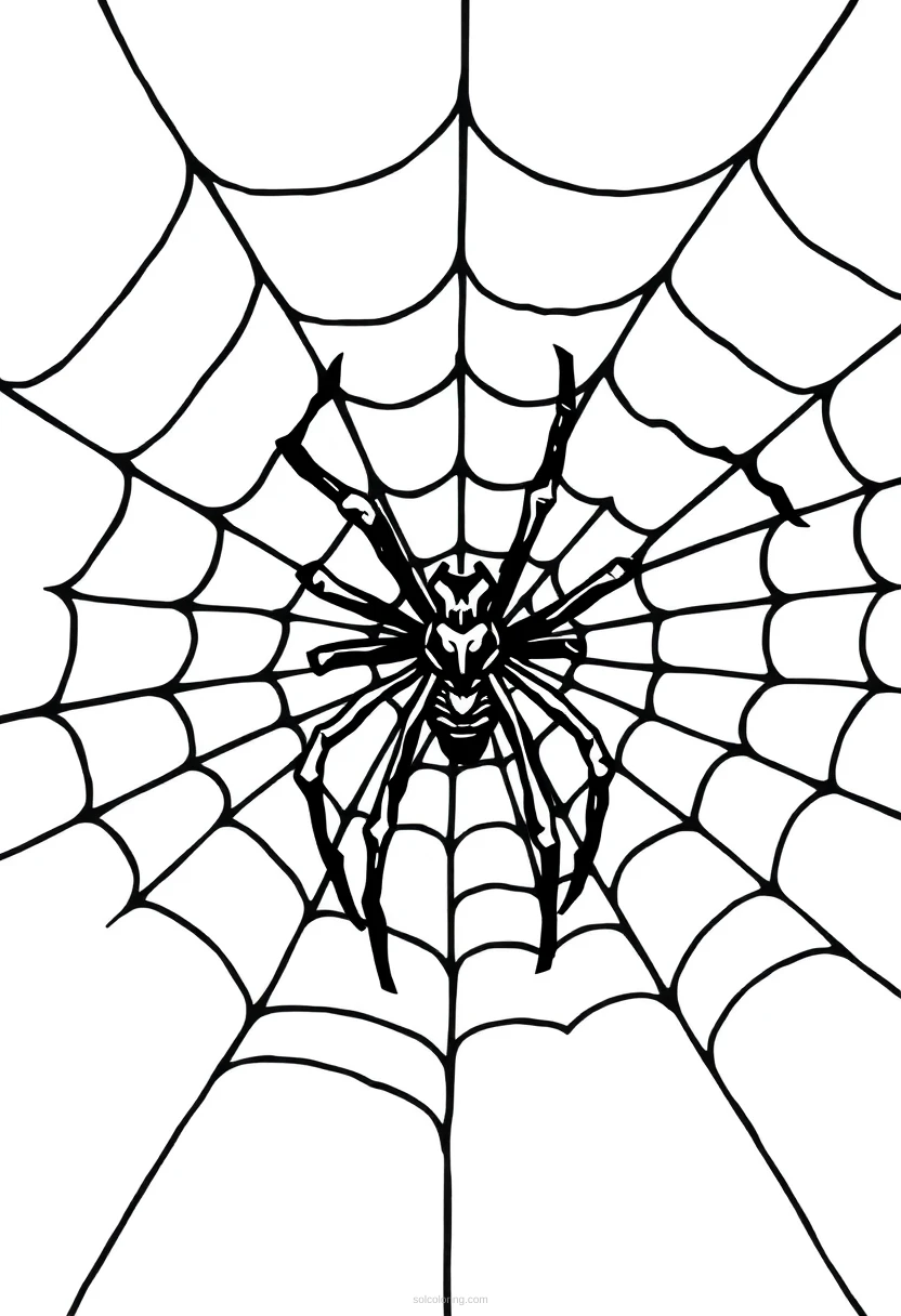 Creepy Spider Web coloring page for kids
