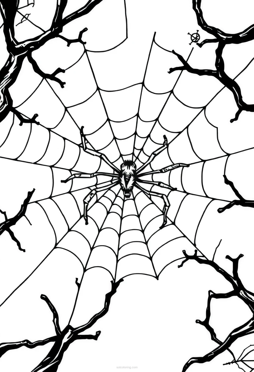 Creepy Spider Web coloring page for kids