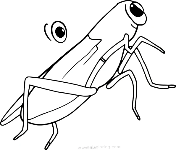 Cricket coloring page for kids
