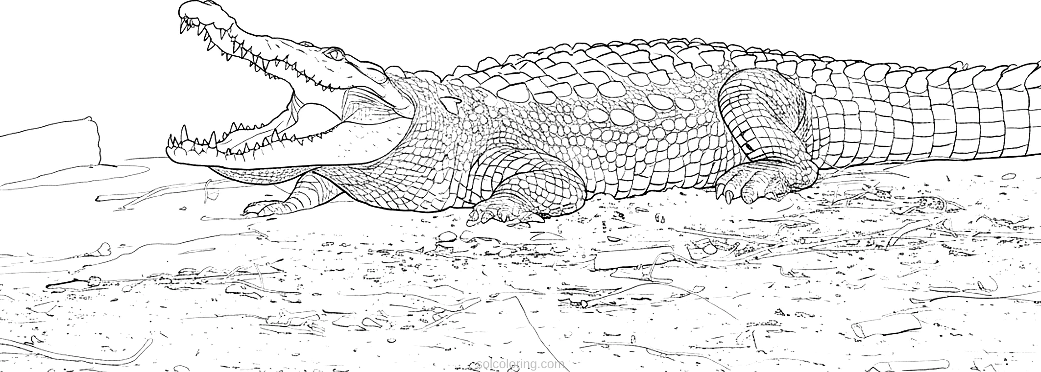 Crocodile coloring page for kids