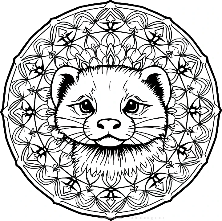 Curious Ferret coloring page for kids