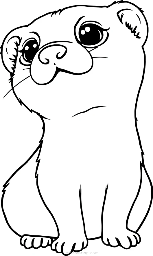Curious Ferret coloring page for kids