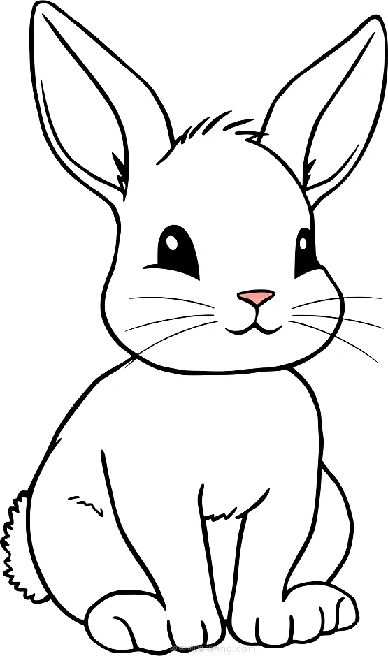 Cute Baby Bunny coloring page for kids