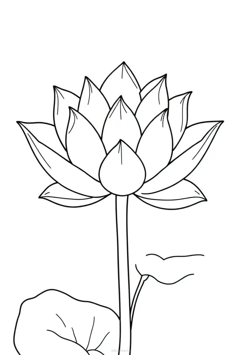 Decorative Lotus Flower coloring page for kids