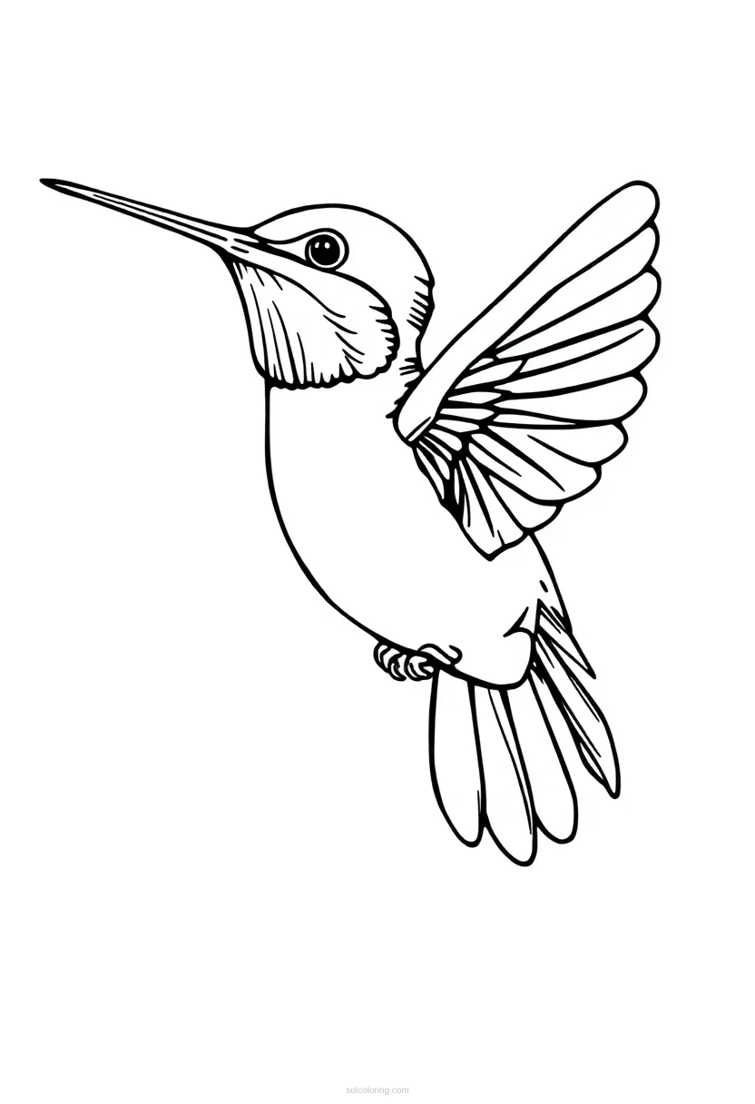 Hummingbird in Flight coloring page for kids