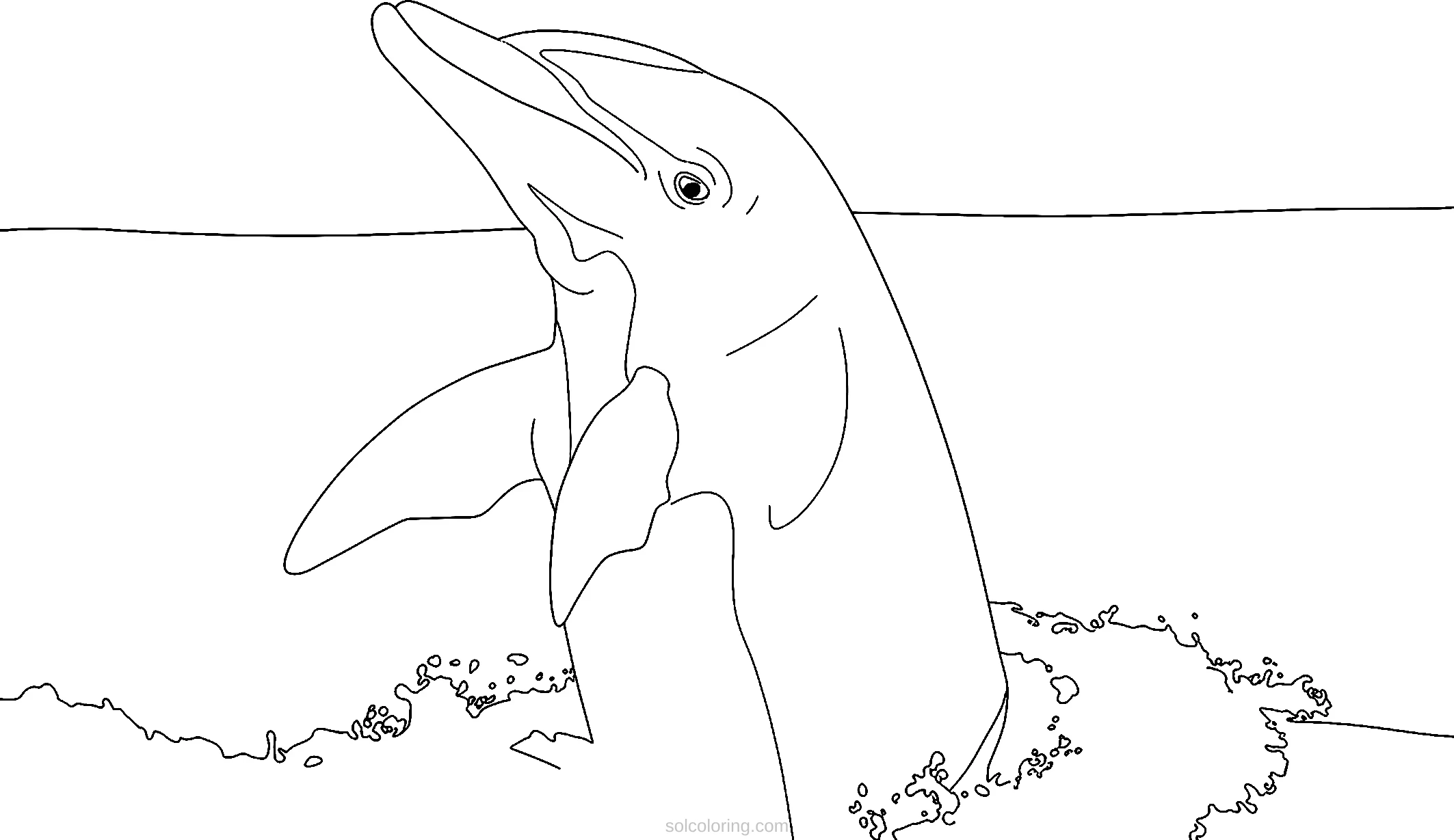 Dolphin coloring page for kids
