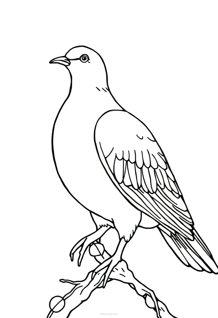 Dove coloring page for kids