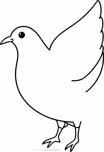 Dove coloring page for kids
