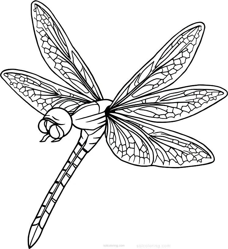 Dragonfly coloring page for kids