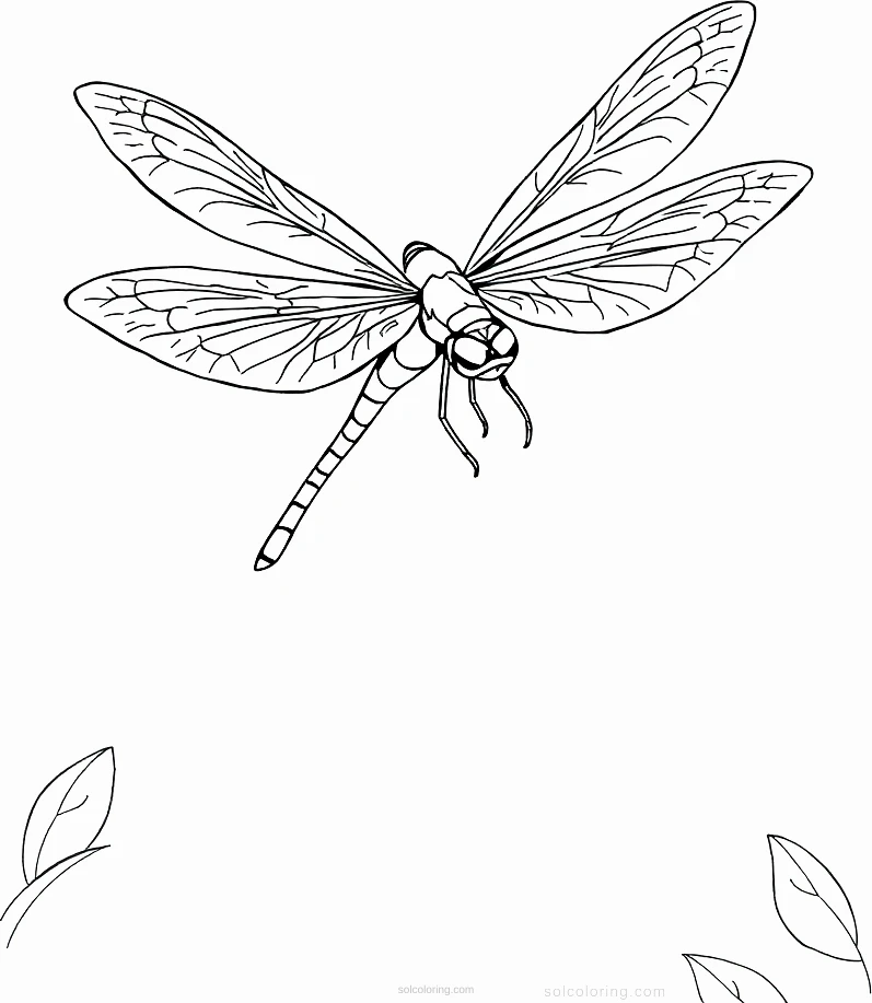 Dragonfly coloring page for kids