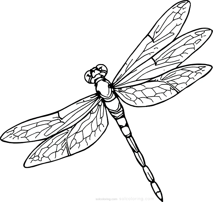 Dragonfly coloring page for kids