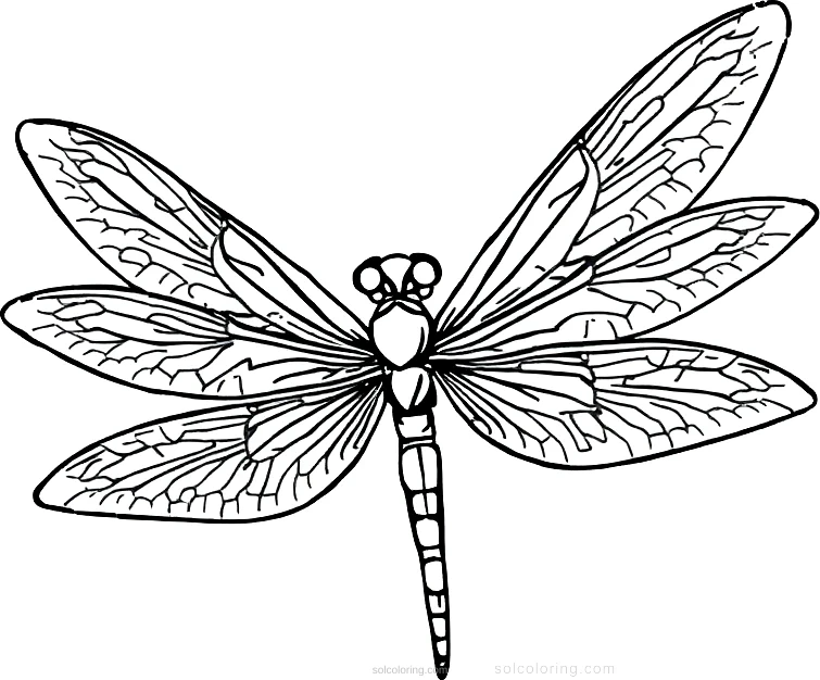 Dragonfly coloring page for kids