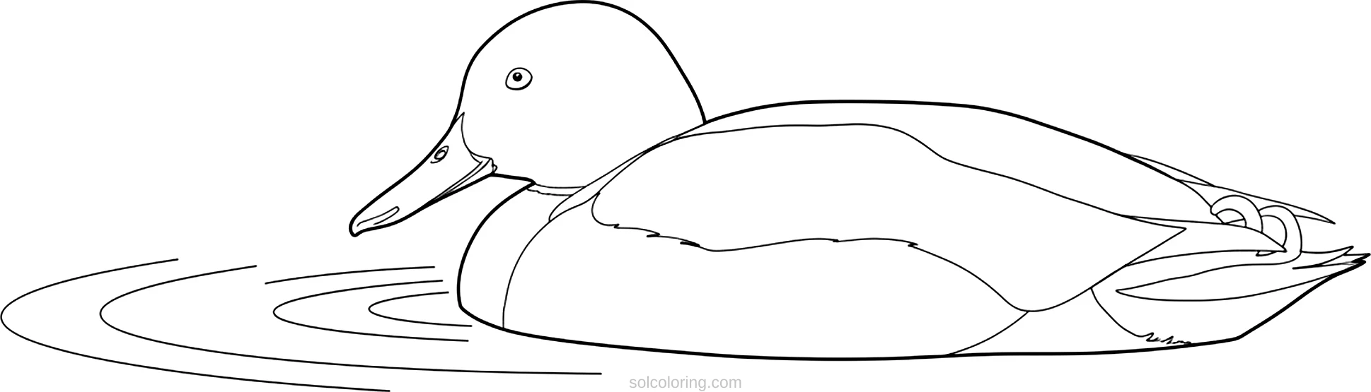 Duck coloring page for kids