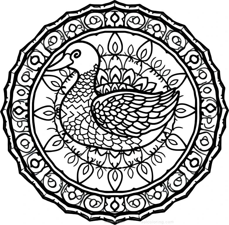 Duck coloring page for kids