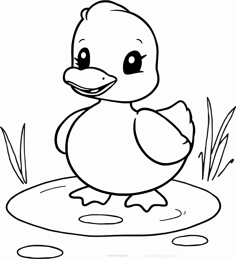 Duck on Pond coloring page for kids