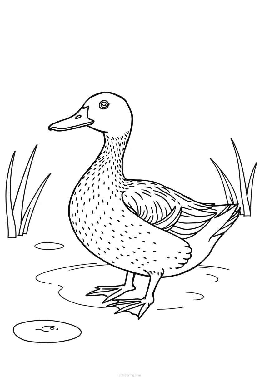 Duck on Pond coloring page for kids