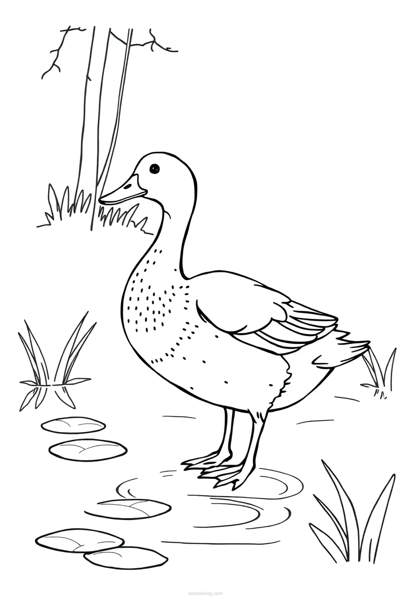 Duck on Pond coloring page for kids