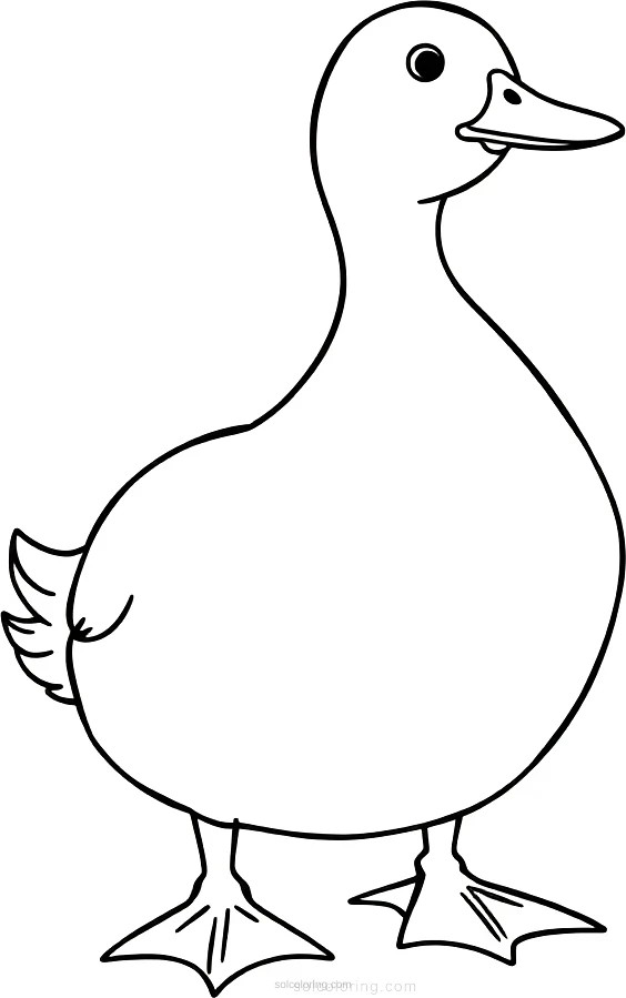 Duck coloring page for kids