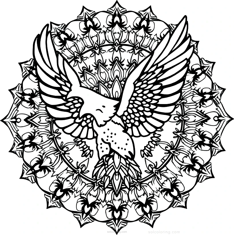 Eagle coloring page for kids